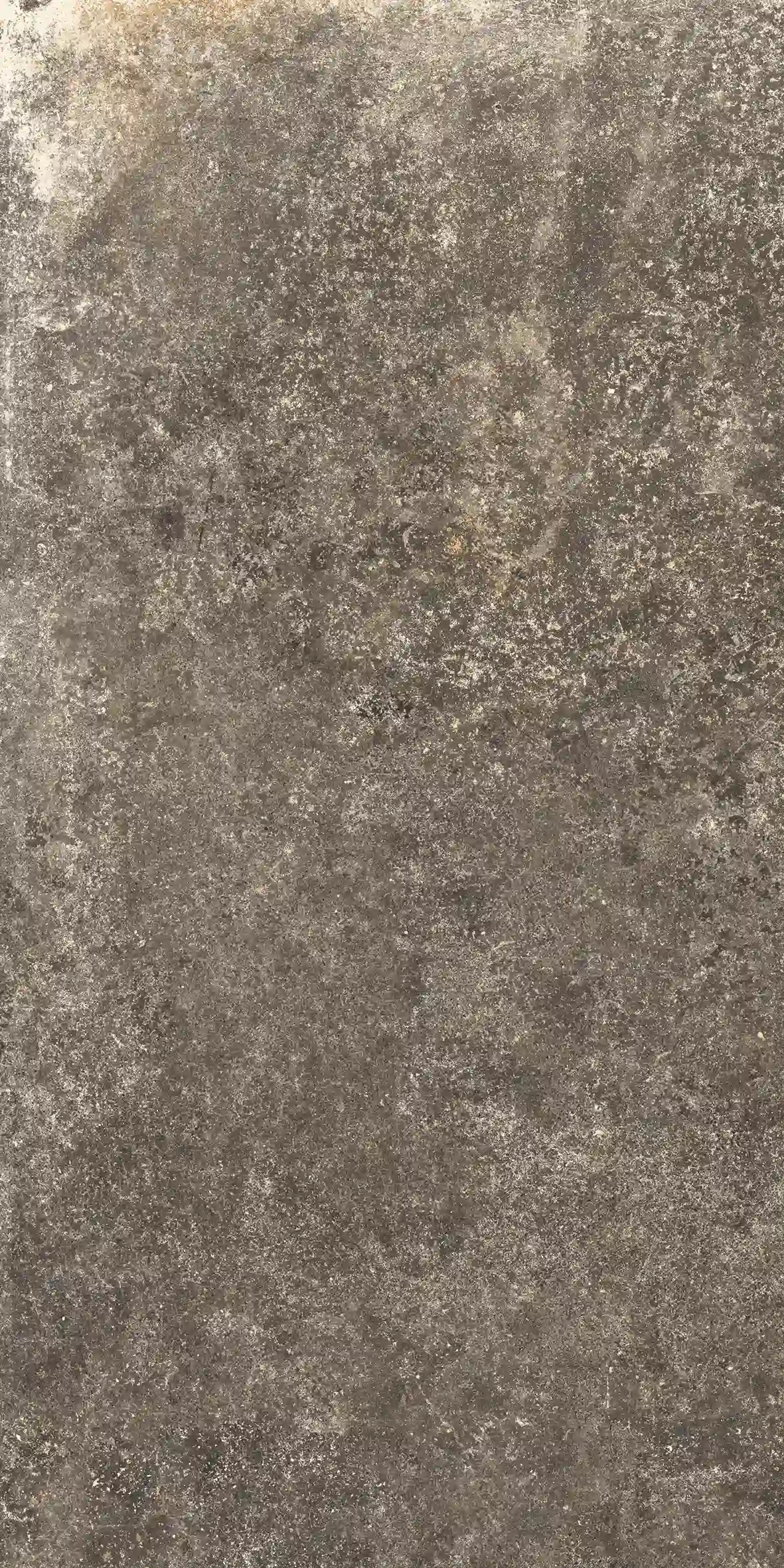 Jungle Stone Wild 30x60cm